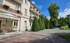 Hotel Alpina